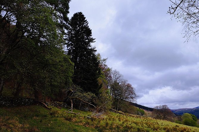 Central Scotland Driving Tour - Stirlingshire (Private) - The Sum Up