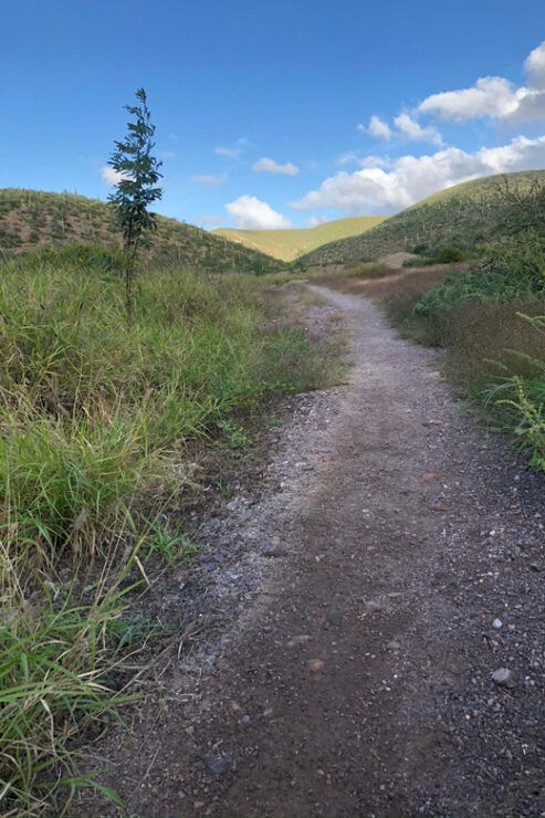 Cerro De La Calavera Hiking Tour - Highlights of the Hike