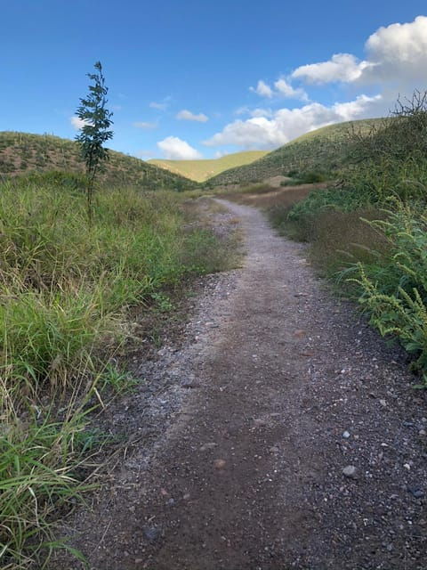 Cerro De La Calavera Hiking Tour - Inclusions and Exclusions