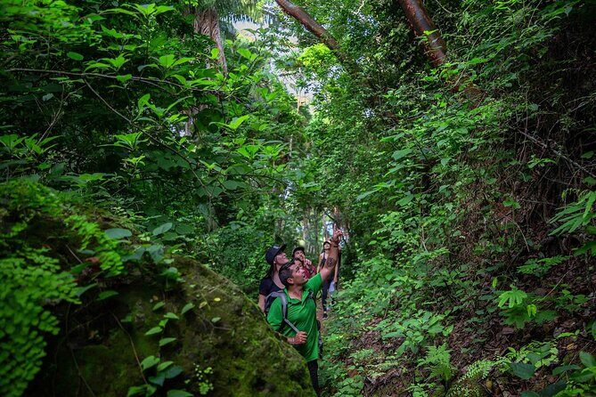 Cerro del Mono Hiking Adventure in Punta Mita - Who Will Love this Experience?