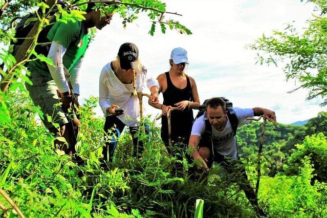 Cerro del Mono Hiking Adventure in Punta Mita - Frequently Asked Questions