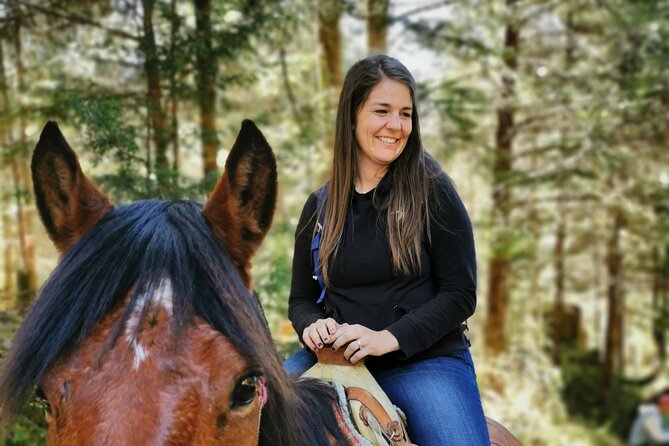 Cerro Pelon Monarch Butterfly Sanctuary. - Common Questions