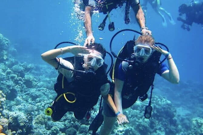 Certified and Beginner Scuba Diving from Pattaya - Final Thoughts