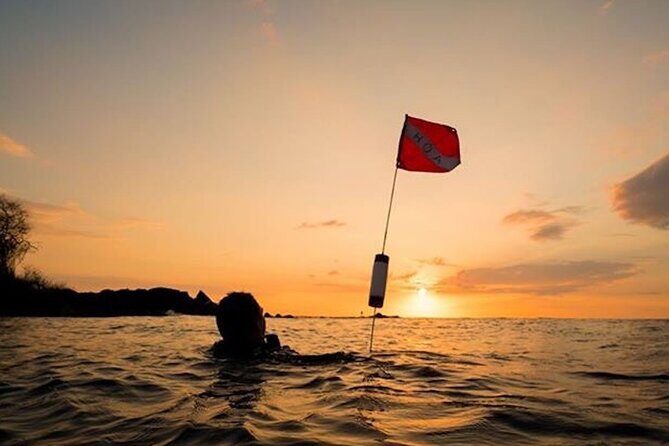 Certified Beach Night Dive - Good To Know