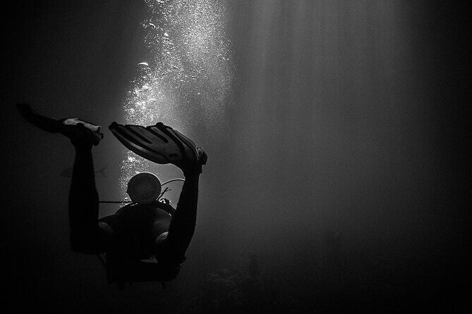 Certified Beach Night Dive - Why This Tour Offers Great Value