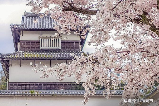 Certified by Fukuoka: A Photogenic Tour to Visit Beautiful Spots with Kimono on! - Final Thoughts