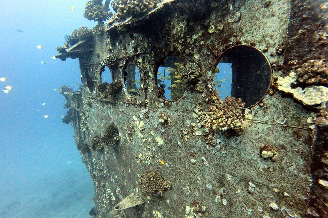 Certified Diver: 2-Tank Deep Wreck and Shallow Reef Dives off Oahu - Pricing and Booking