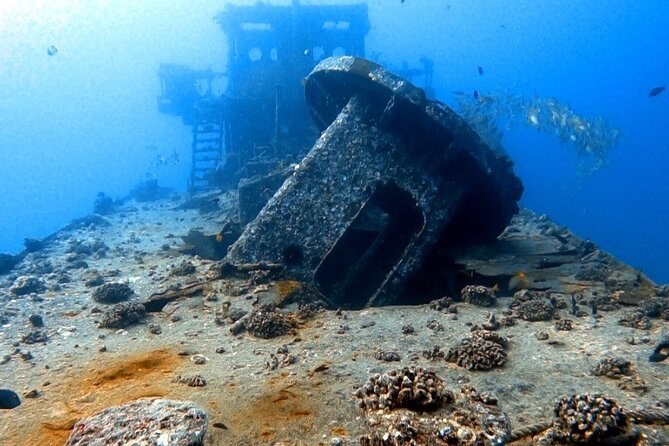 Certified Diver: 2-Tank Deep Wreck and Shallow Reef Dives off Oahu - What To Expect