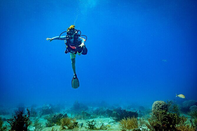 Certified Diving 2 Tanks in Cozumel - An Authentic Cozumel Diving Experience
