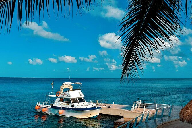 Certified Diving 2 Tanks in Cozumel - Who’s This Tour Best For?