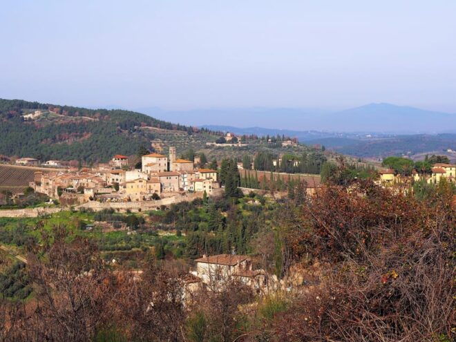 Certosa of Florence: Visit Trip by Bus With Picknick - Guided Tour of Monastery