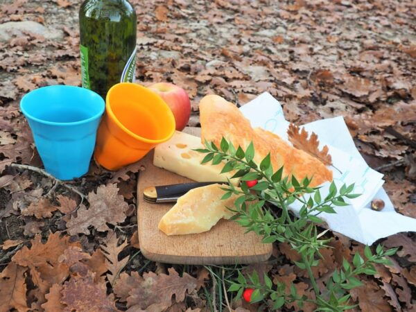 Certosa of Florence: Visit Trip by Bus With Picknick - Break and Shopping