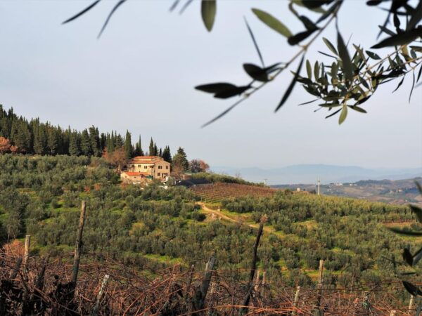 Certosa of Florence: Visit Trip by Bus With Picknick - Frequently Asked Questions
