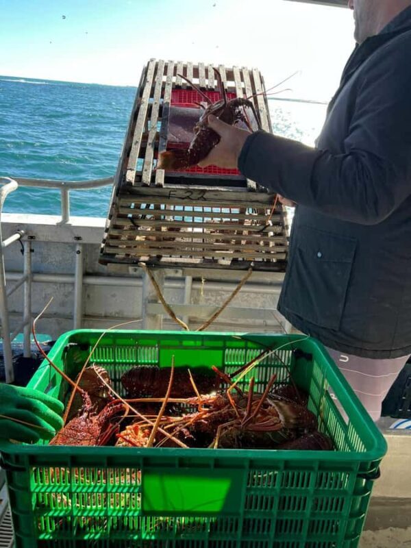 Cervantes: Lobster Catching Tour - A Closer Look at the Tour Experience