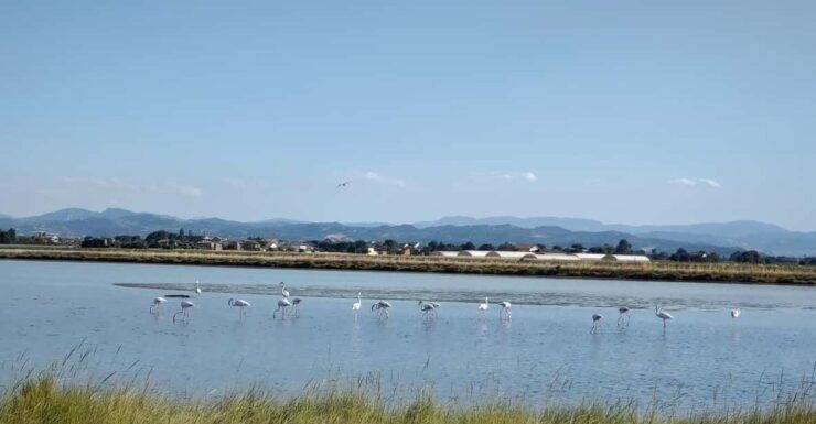 Cervia & Milano Marittima on APE CALESSINO Vintage - Good To Know