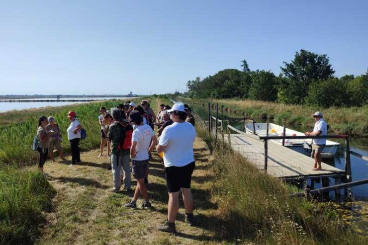Cervia Salt Pan: by Boat Along the Salt Road - Highlights of the Experience