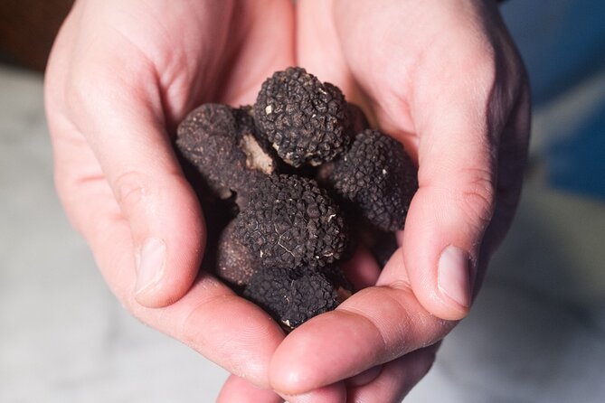 Cesarine: Truffle Dining and Cooking Demo Experience in Perugia - Good To Know