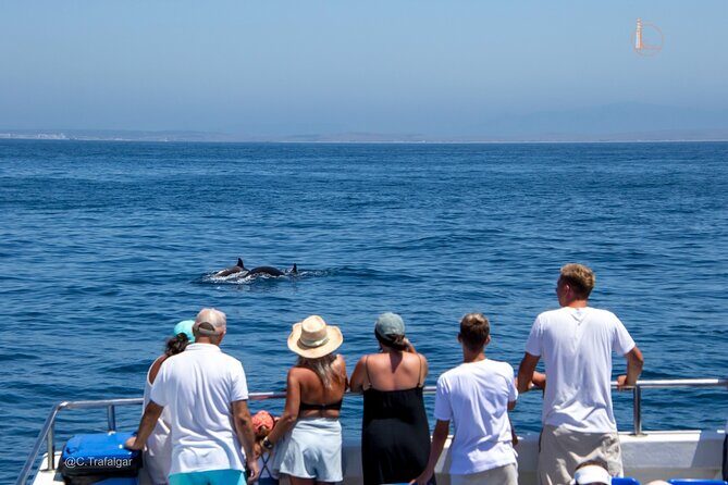 Cetacean Watching Tour - Good To Know