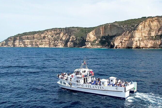 Cetacean Watching Tour - Exploring the Cádiz Cetacean Watching Tour