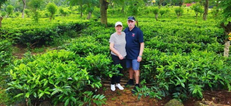 Ceylon Tea Experience from Colombo Port Passenger Terminal - Good To Know