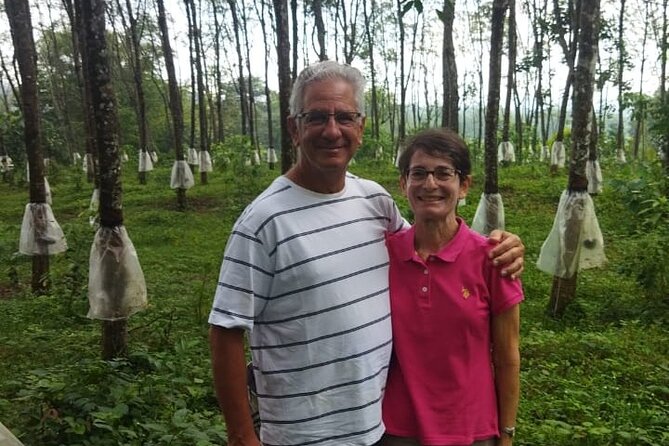 Ceylon Tea Experience Start From Colombo Port Passenger Terminal - Ceylon Tea Experience Tour Highlights