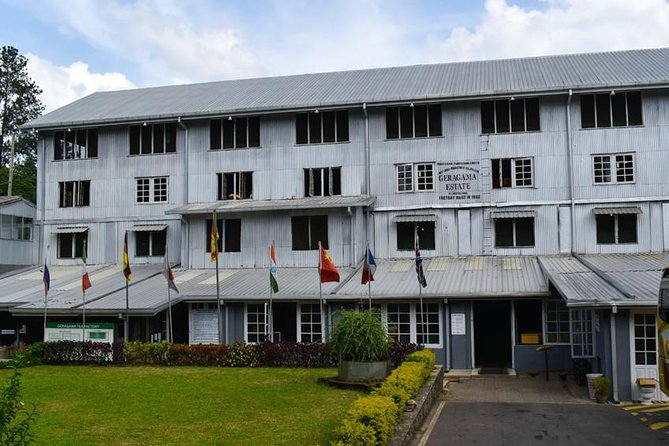 Ceylon Tea Experience Start From Colombo Port Passenger Terminal - Tips for a Memorable Tea Experience