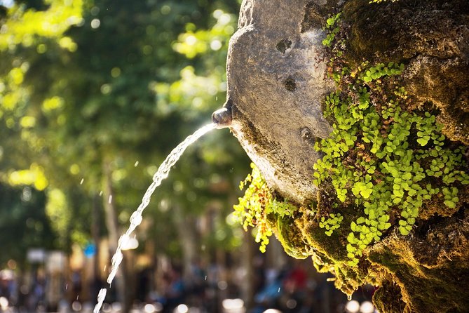 Cézanne Pathway : Wine and Art in Majestic Aix En Provence - Immersed in the Beauty of Provençal Landscapes