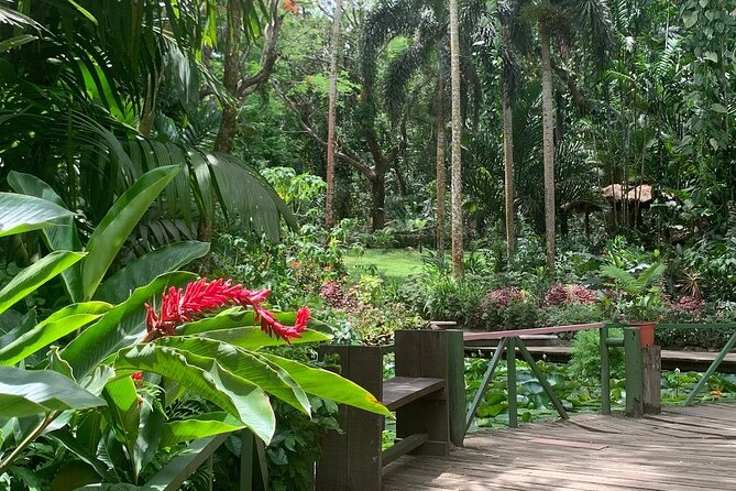 CFC Hot Spring Mud Pool,Garden Of Sleeping Giant And Village Visit Half Day Tour - Pricing and Booking
