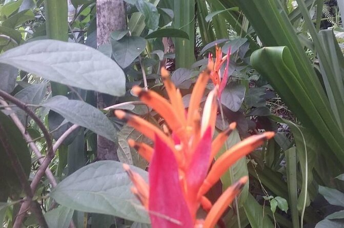 CFC Hot Spring Mud Pool,Garden Of Sleeping Giant And Village Visit Half Day Tour - Reviews and Cancellation Policy
