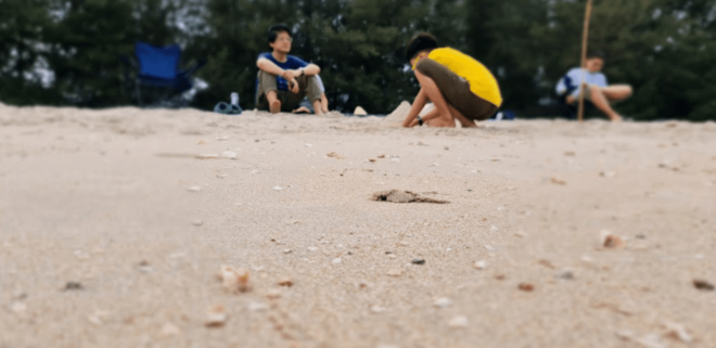 Cha Am: Private One Day City Tour - Major Attractions