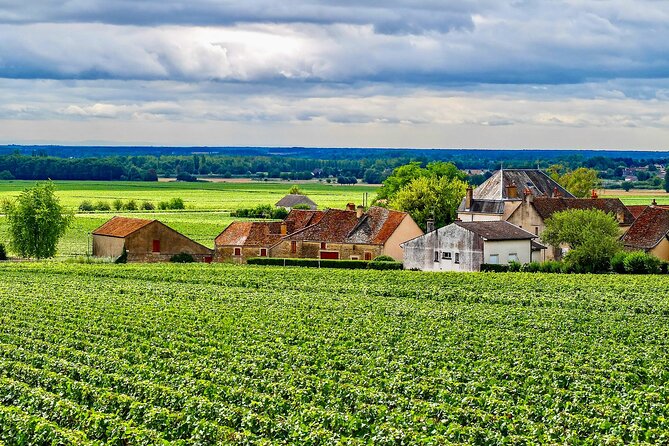 Chablis 15 Exquisite Wines Tasting Trip in Small-Group From Paris - Reviews