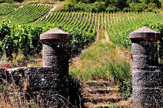 Chablis 15 Exquisite Wines Tasting Trip in Small-Group From Paris - Our Driver Had to Share