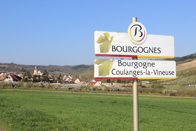 Chablis & Northern Burgundy Wine Tour - Reviews