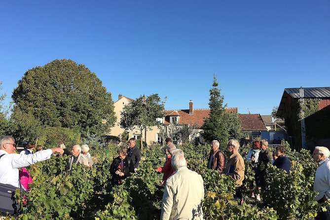 Chablis Tour and Tasting at Domaine Clotilde Davenne - Directions