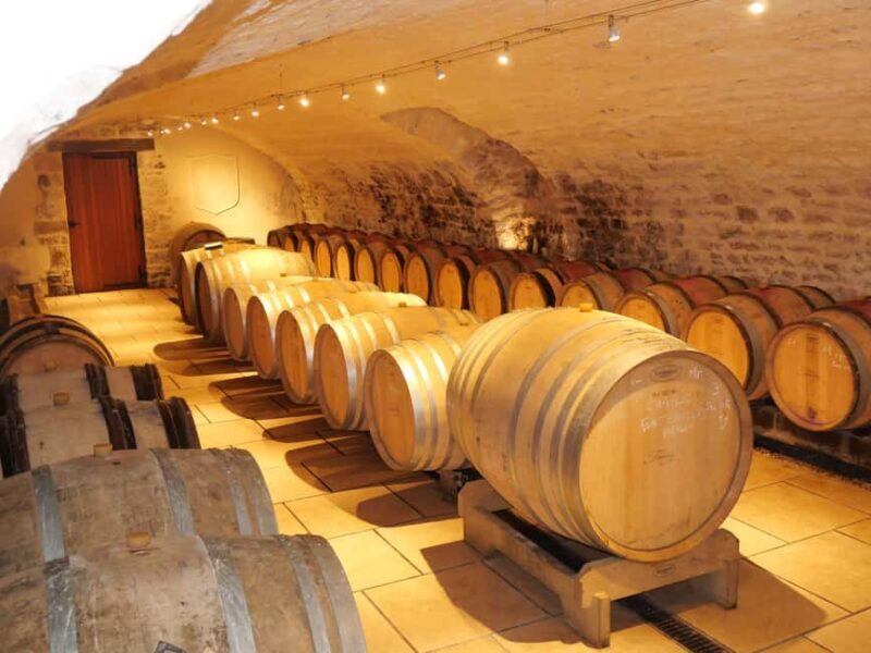 Chablis: Tour and tasting Family-run winery - A Closer Look at the Experience