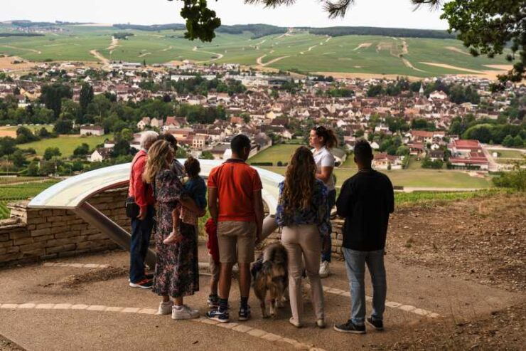 Chablis: Visit of the Grand Cru Vineyard - Key Points