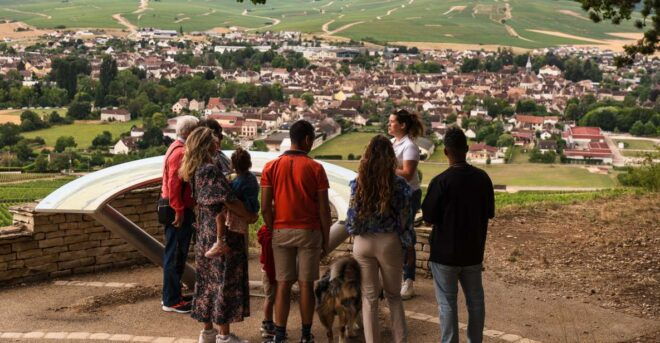 Chablis: Visit of the Grand Cru Vineyard - Inclusions of the Activity