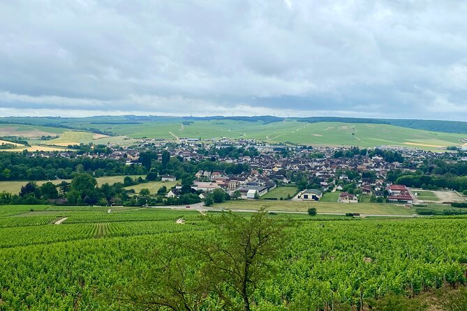 Chablis Wine Tastings Delights by Maison Regnard & J.M. Brocard - Contact Information