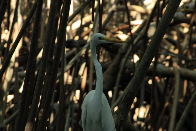 Chacahua Afternoon Journey - What’s Included and What to Bring