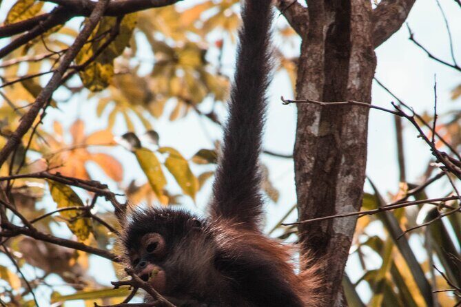 Chacchoben Mayan Ruins and Bacalar Lagoon from Costa Maya - Analyzing the Cost: Is It Worth It?