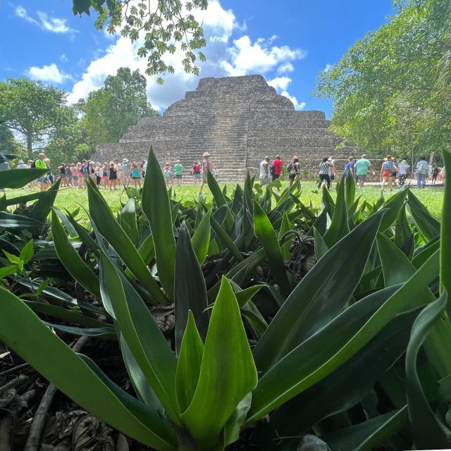 Chacchoben Mayan Ruins Excursion - Experience Highlights