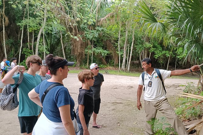 Chacchoben Mayan Ruins Excursion - Photos and Recommendations