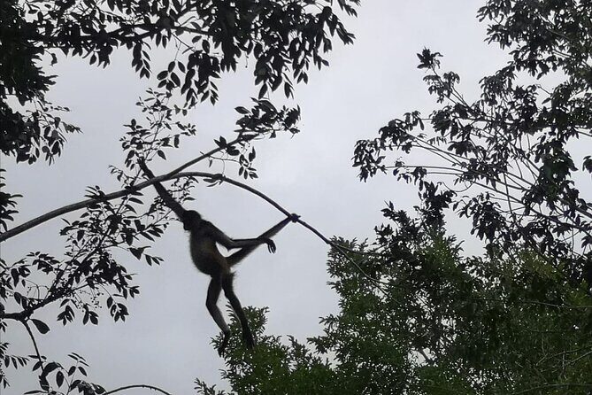 Chacchoben Mayan ruins with tour guide - FAQ