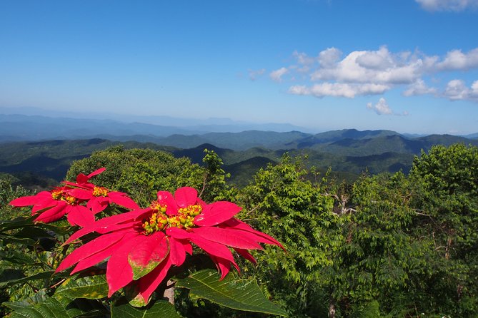Chaesorn National Park Trekking - Overview of Chae Son National Park