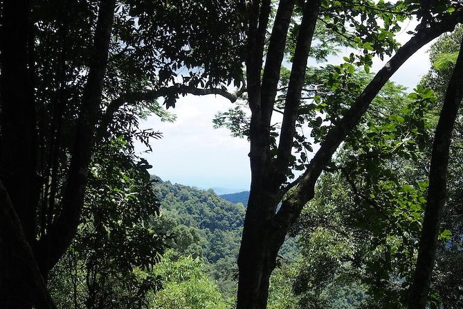 Chaesorn National Park Trekking - Common Questions