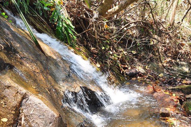 Chaesorn National Park Trekking - Pricing and Booking Information