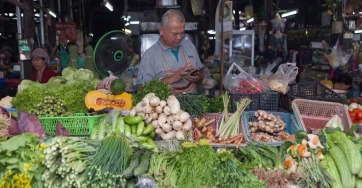 Chaing Mai : Cooking in Organic Farm With a Local Train Trip - The Cooking Journey