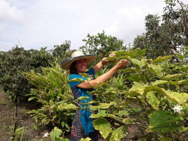 Chaing Mai : Cooking in Organic Farm With a Local Train Trip - Transportation Details