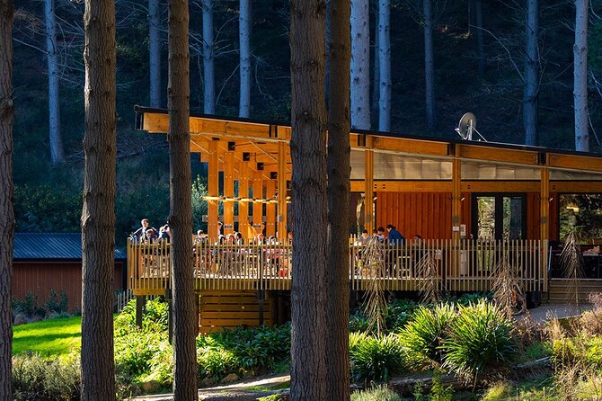 Chairlift Sightseeing Pass at the Christchurch Adventure Park - Reviews and Recommendations