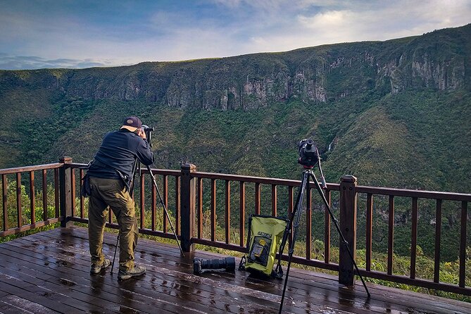 Chakana Reserve: Unique Andean Wildlife, Condors, Ecuadorian Hillstar & Bears - Andean Wildlife Encounters